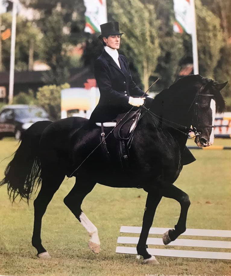 Paula Keeley riding Caju (bred by Isobel Holstein Beck Campilho, owned by Sussex Lusitanos)